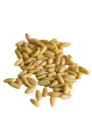 Extra-Large Lebanese Pine Nuts